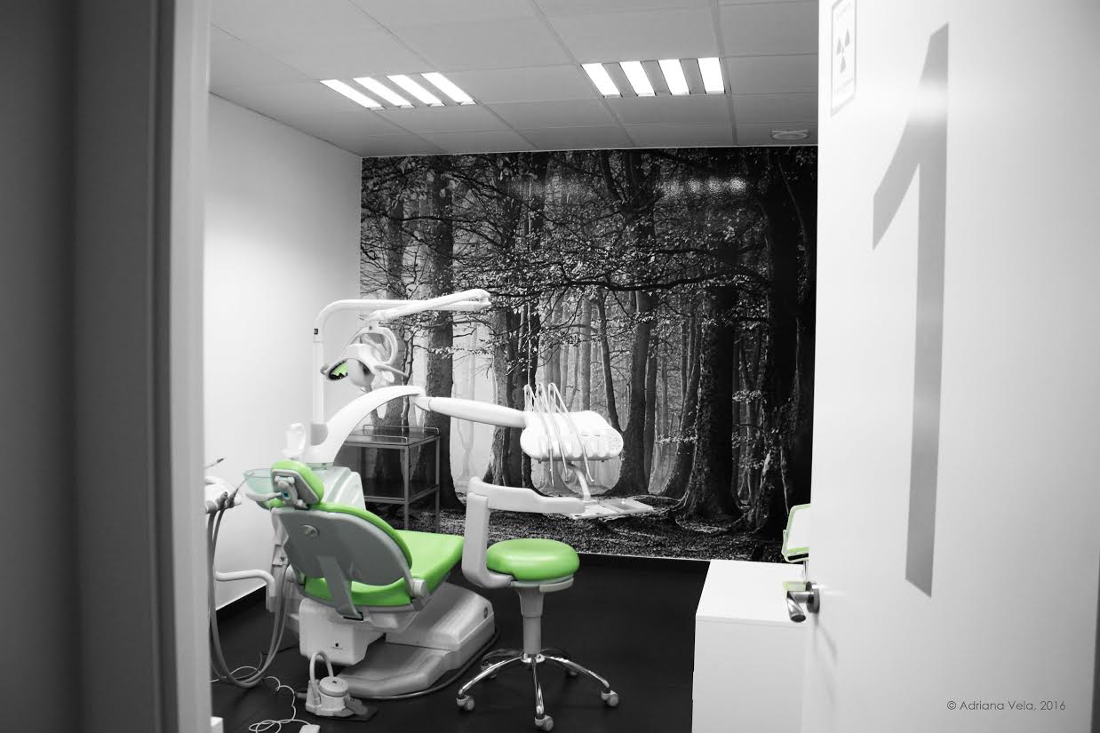 Galería de imágenes